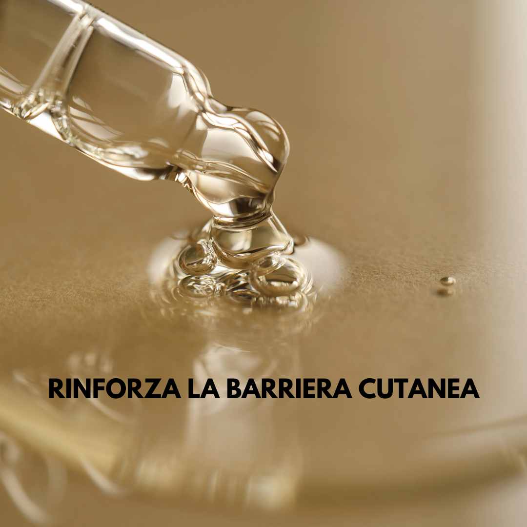 GinkgoGlow - Desiros