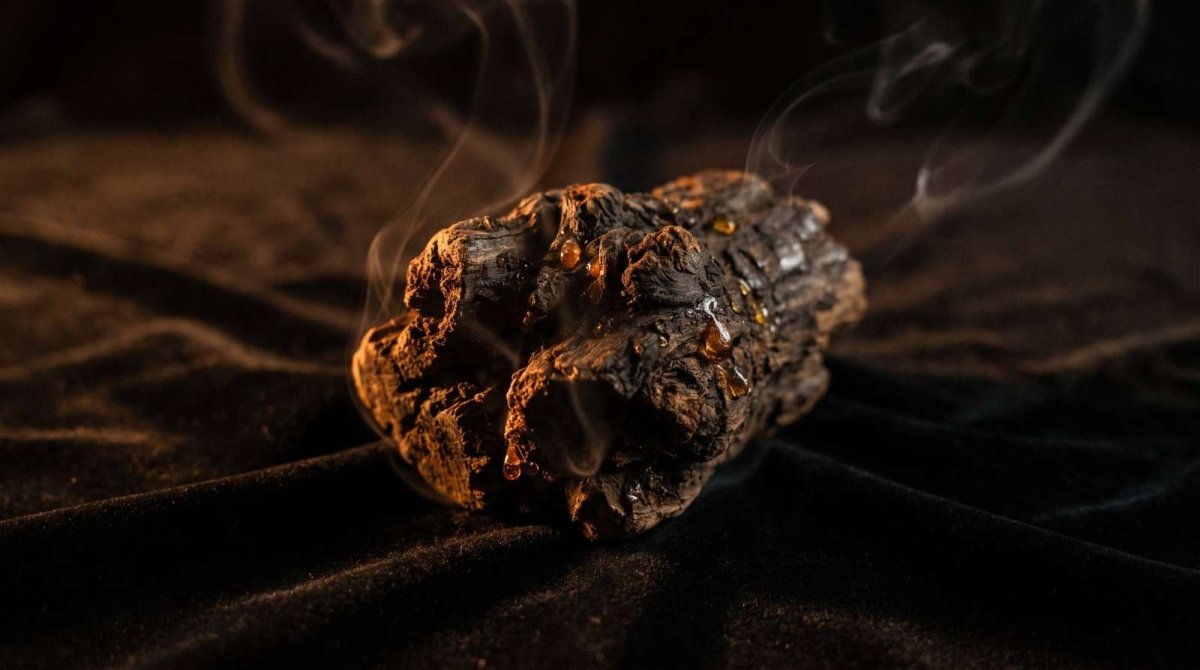 Oud nei profumi da uomo: guida per chi inizia - Desiros